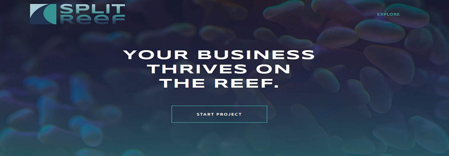 Split Reef Jacksonville Image